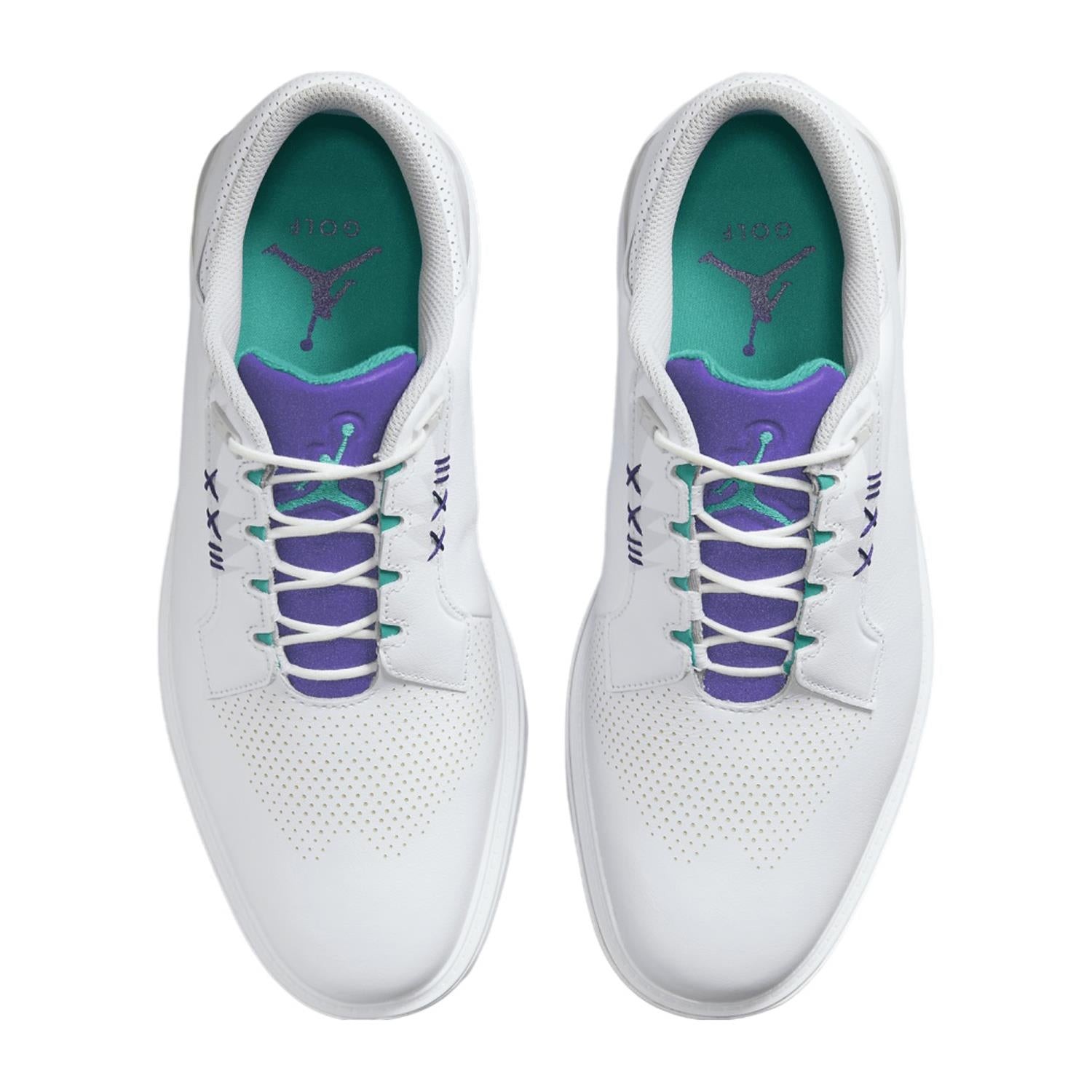 Nike Air Jordan ADG 5 WIDE White Grape Ice Emerald Rise Nby FQ7874-100 Men Golf