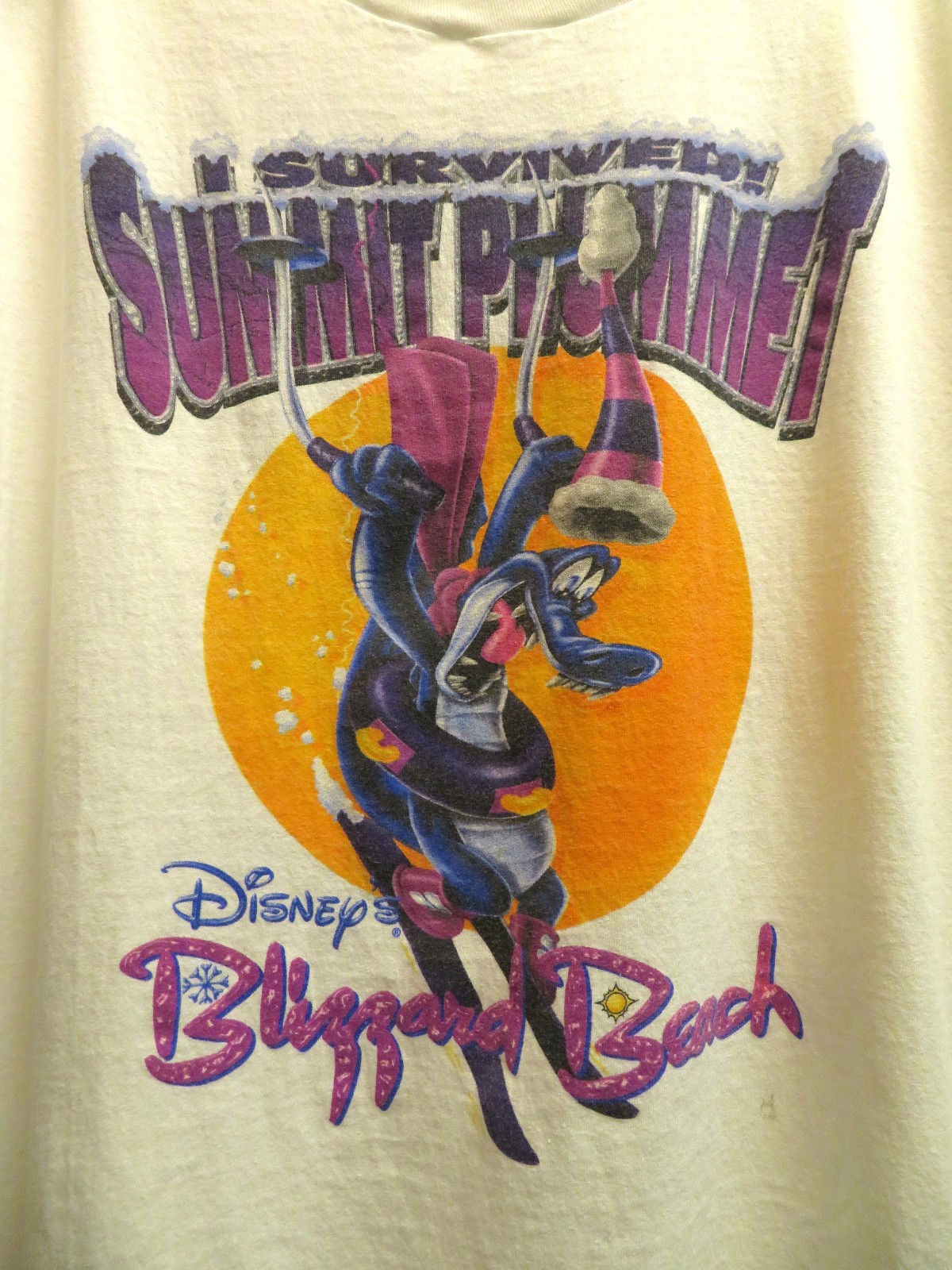 Vintage 90s Disney Blizzard Beach/Summit Plummit Men’s XL tshirt-see Description