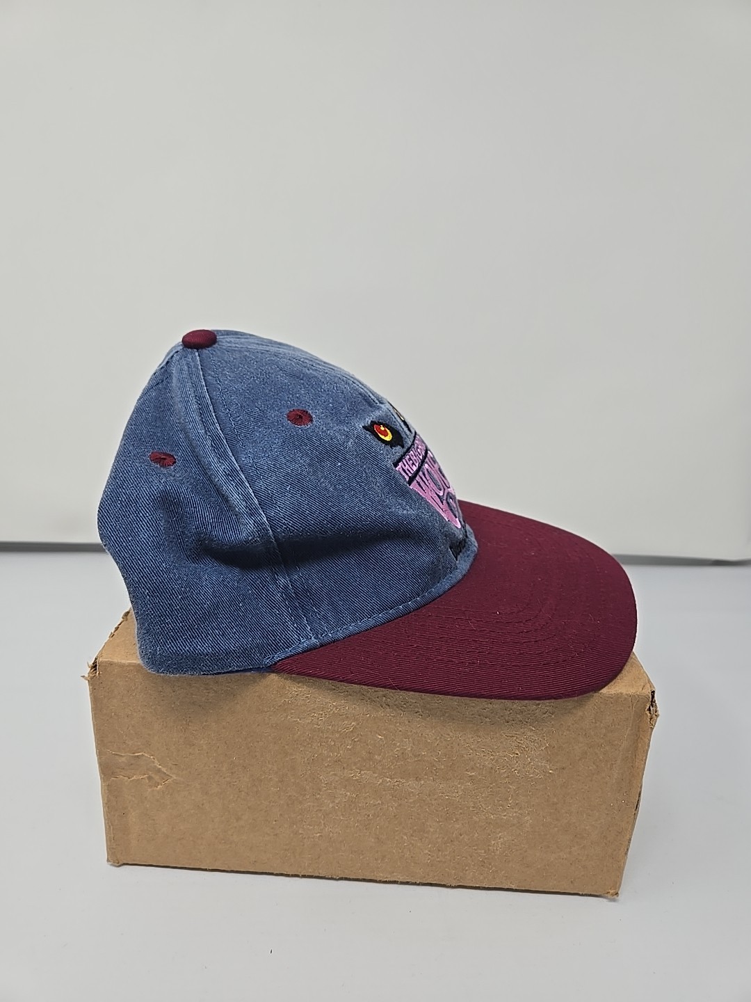 Vintage 2-Tone The Big Bad Wolf Rollercoaster Bush Gardens Snapback Hat Logo