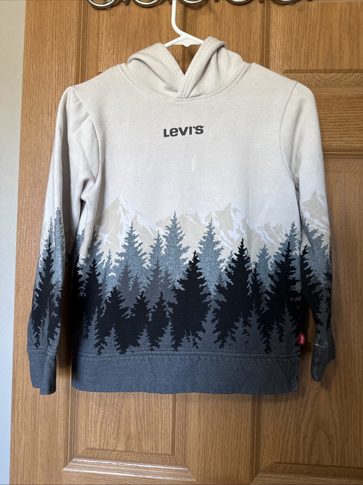 Levi’s Youth L(10-12) Hoodie Pullover Lt Grey,black & grey Tree’s, tan Mountain