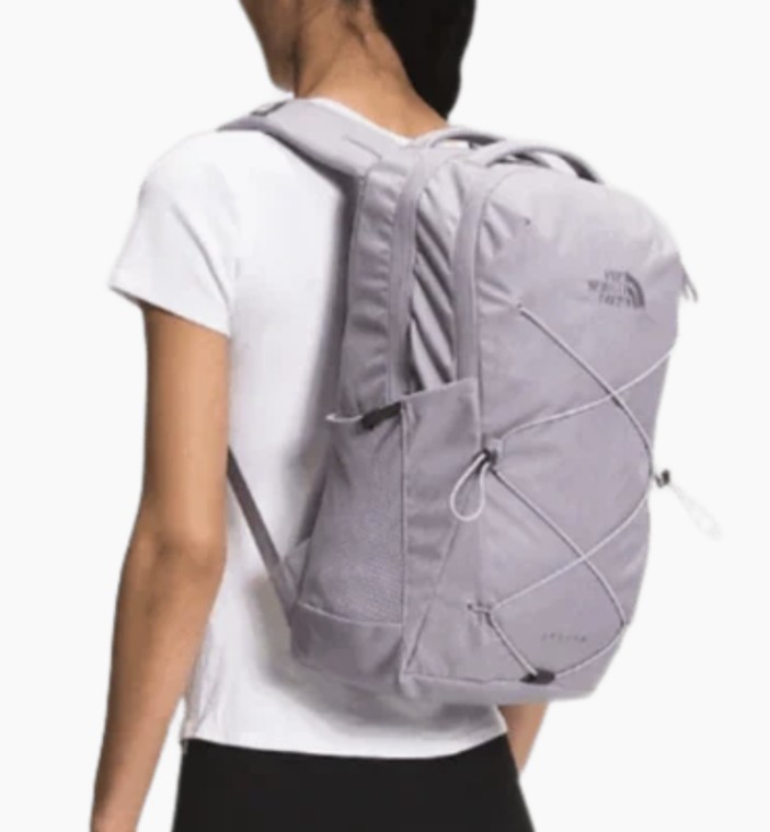 Womens Jester Backpack Flexvent Gray/Violet Laptop Dbl Top Handle North Face