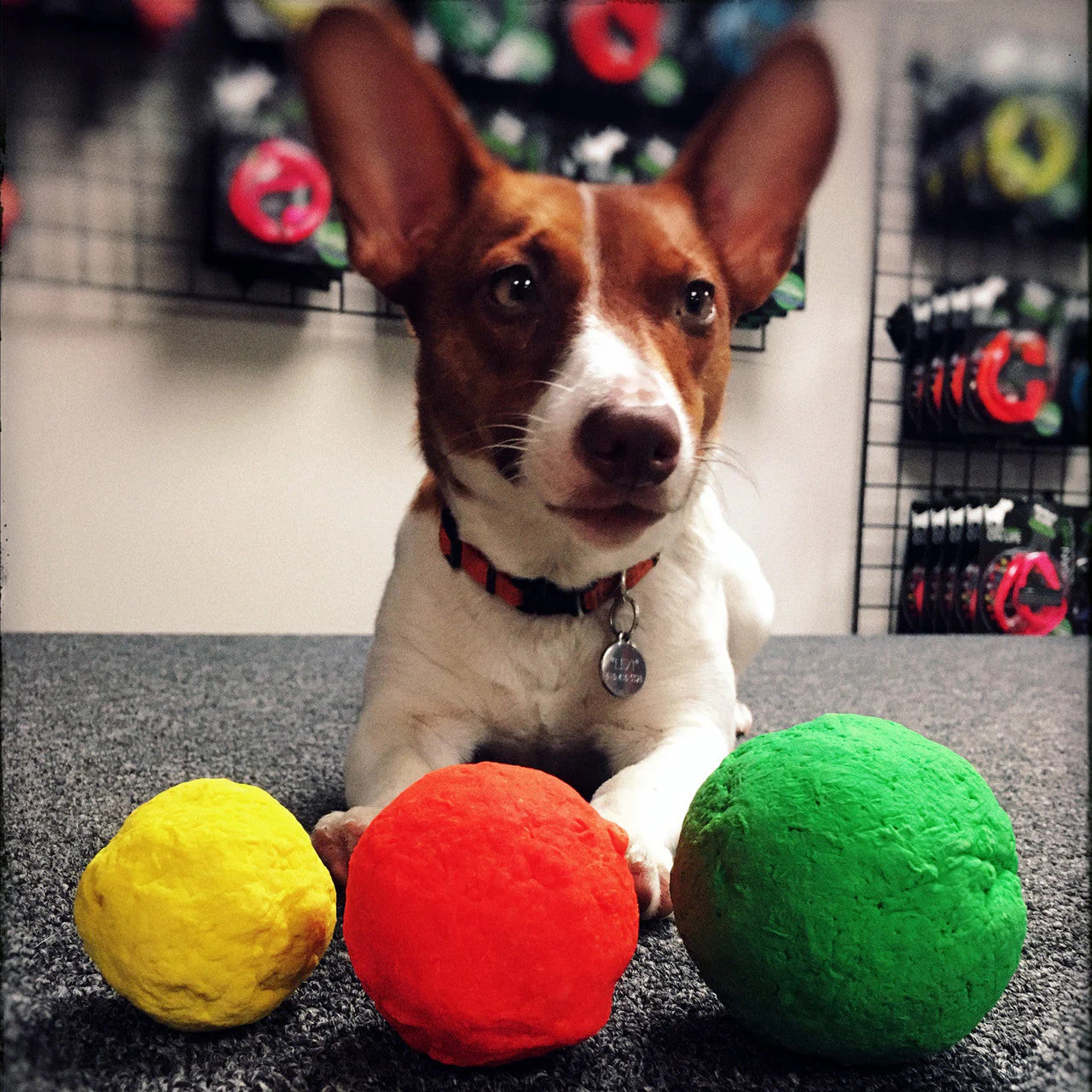 WUNDERball – Best Fetch Toy