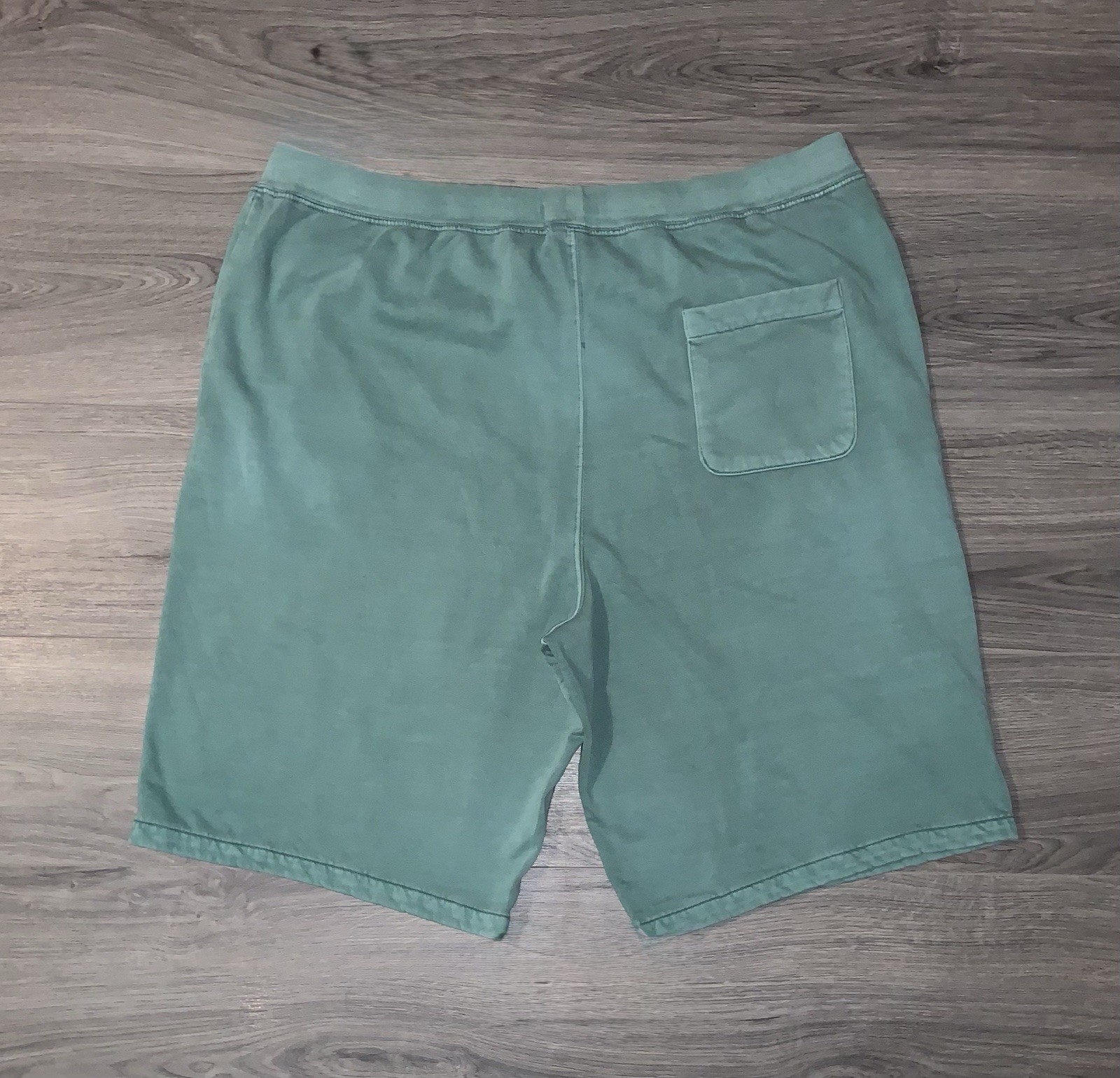 POLO RALPH LAUREN Men’s Big & Tall Hawaiian Floral Logo Fleece Green Shorts 3XLT