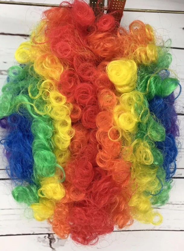 Halloween Rainbow Clown Wig Party Costume Curly Hair Unisex One Size