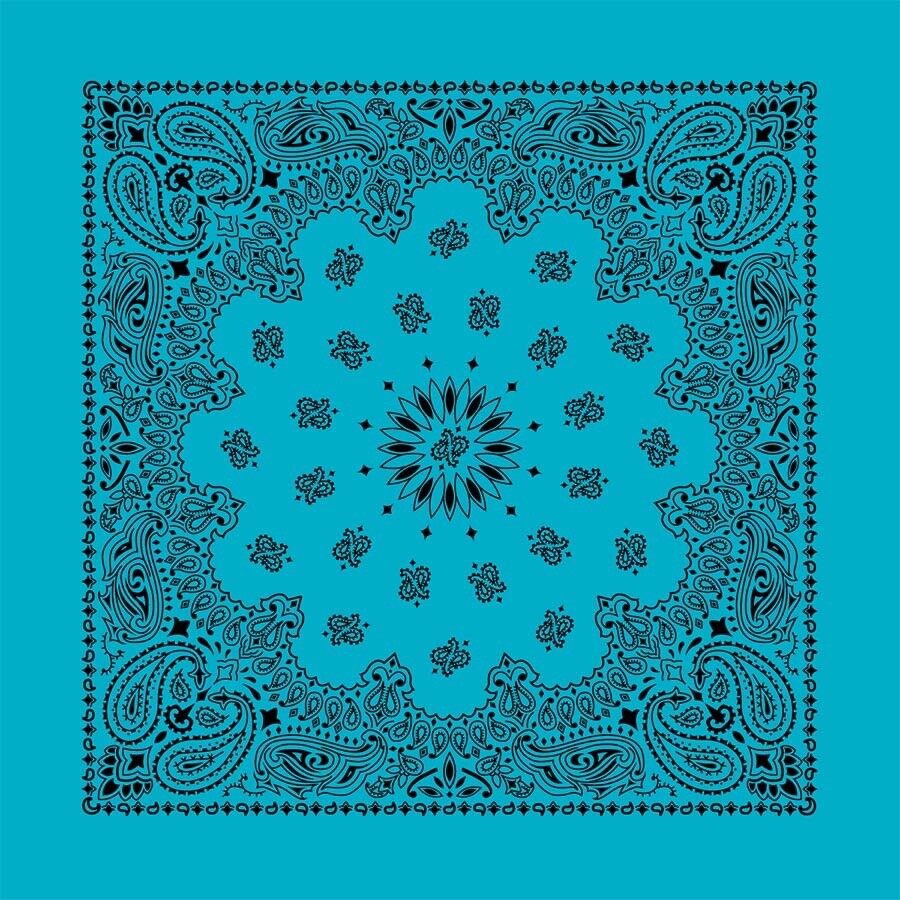 Contemporary Turquoise Paisley 22×22 Bandanna