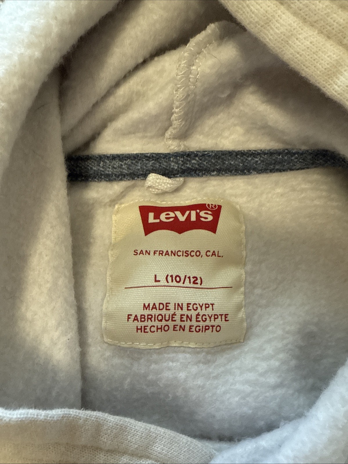 Levi’s Youth L(10-12) Hoodie Pullover Lt Grey,black & grey Tree’s, tan Mountain