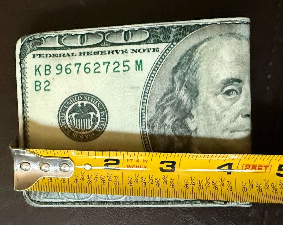 Buckle Down Men’s Novelty Fashion Bi-Fold Wallet “$100 Bill” Black Green