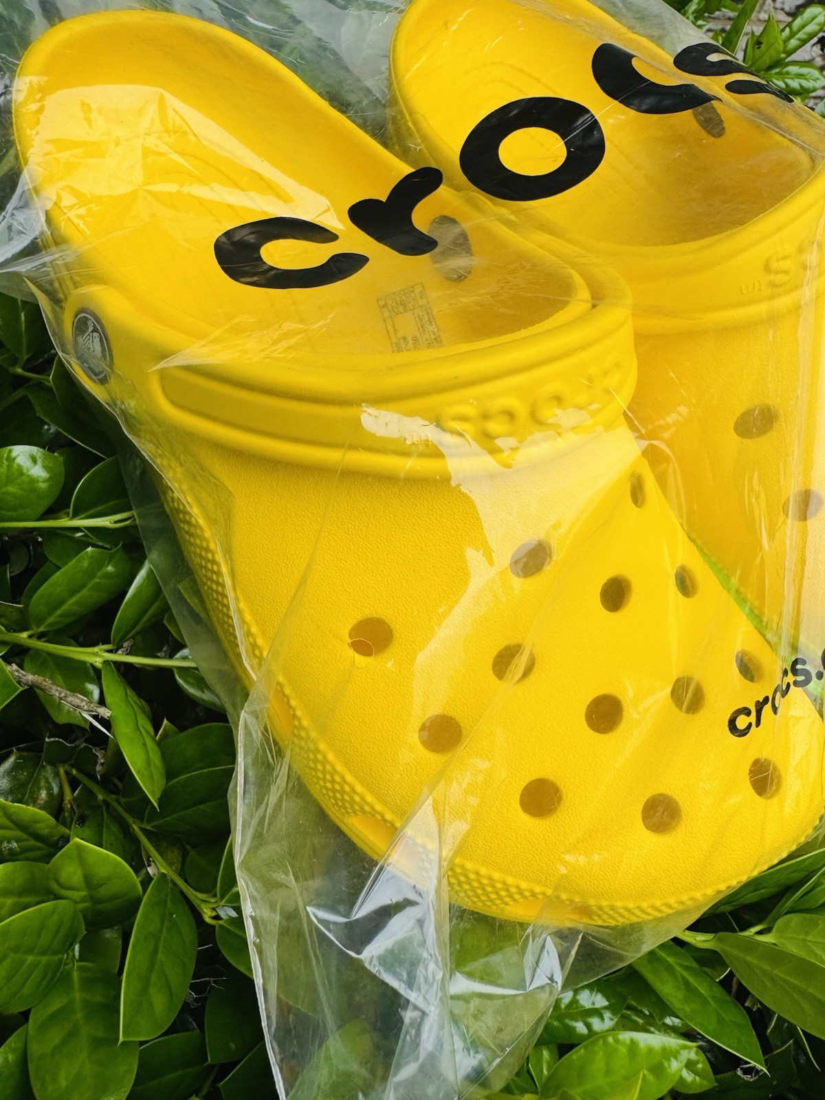 Crocs Yellow 9M men’s – 11W Women’s Classic Clogs Fast Shipping. 🐊