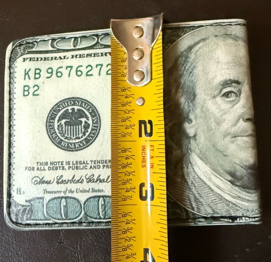 Buckle Down Men’s Novelty Fashion Bi-Fold Wallet “$100 Bill” Black Green
