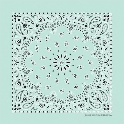 Mint Paisley 22×22 Bandanna