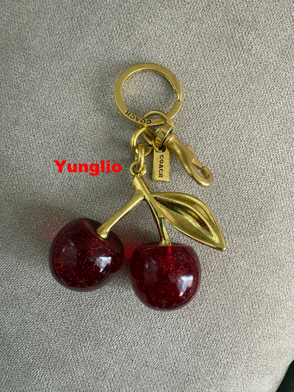 Coach Red Cherry Apple Bag Charm Keychain Resin Metal Brass Purse Decoration