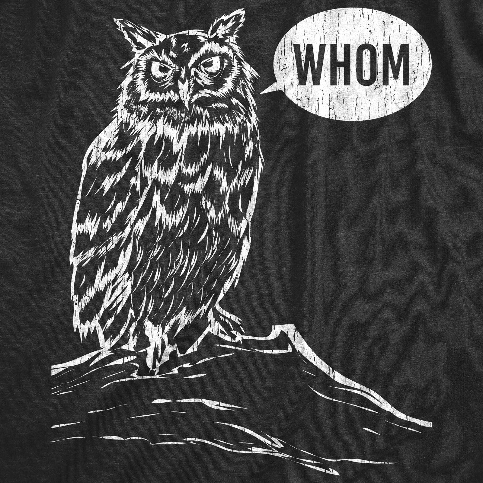 Womens Whom Owl T Shirt Funny Grammar Nerd Sarcastic Graphic Novelty Tee