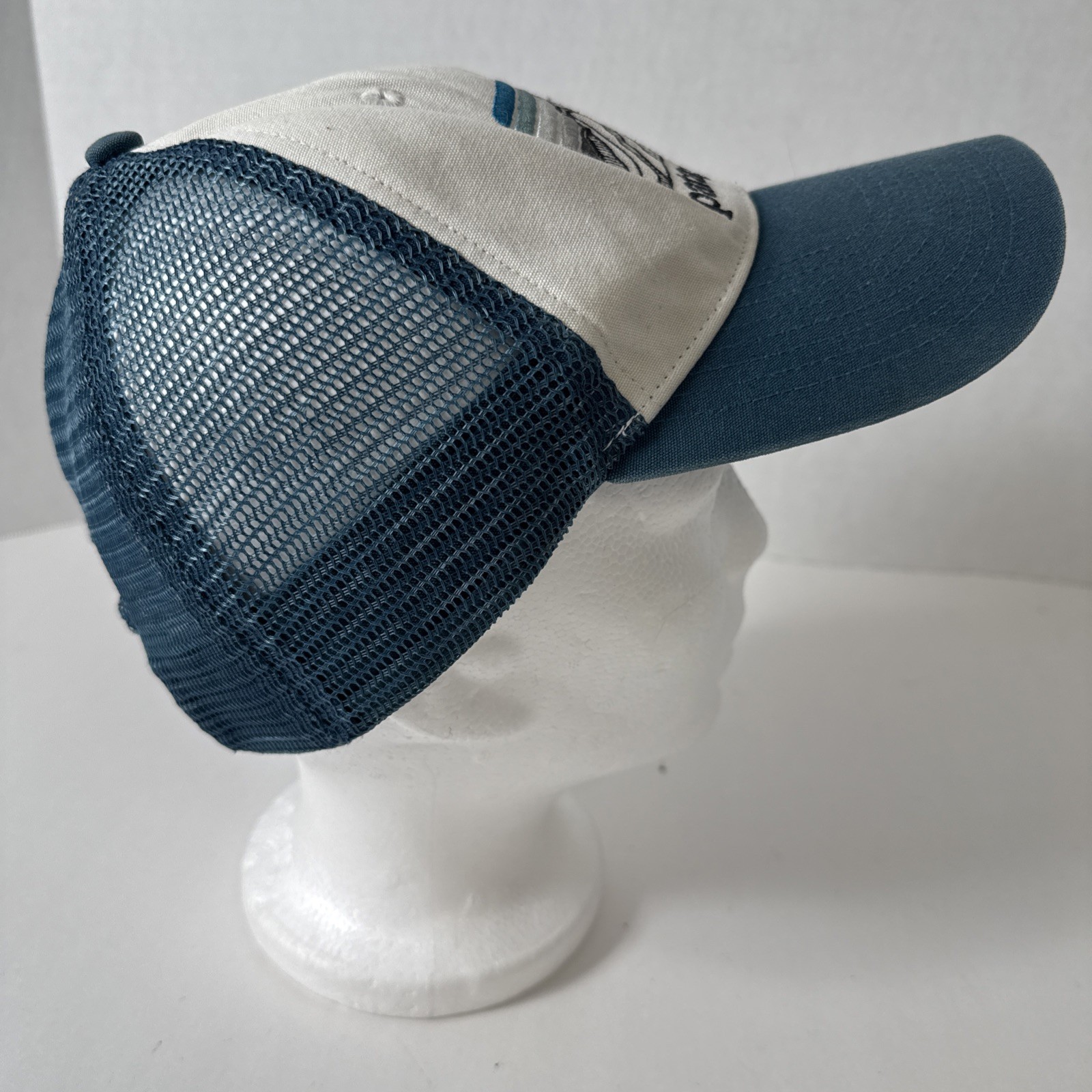 Patagonia Line Logo Ridge Lo Pro Hat Cap Snapback Trucker Mesh Adult Mens
