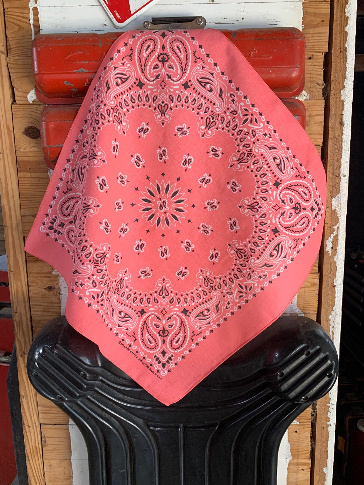 Strawberry Paisley 22×22 Bandanna, Made in USA, Hav-A-Hank