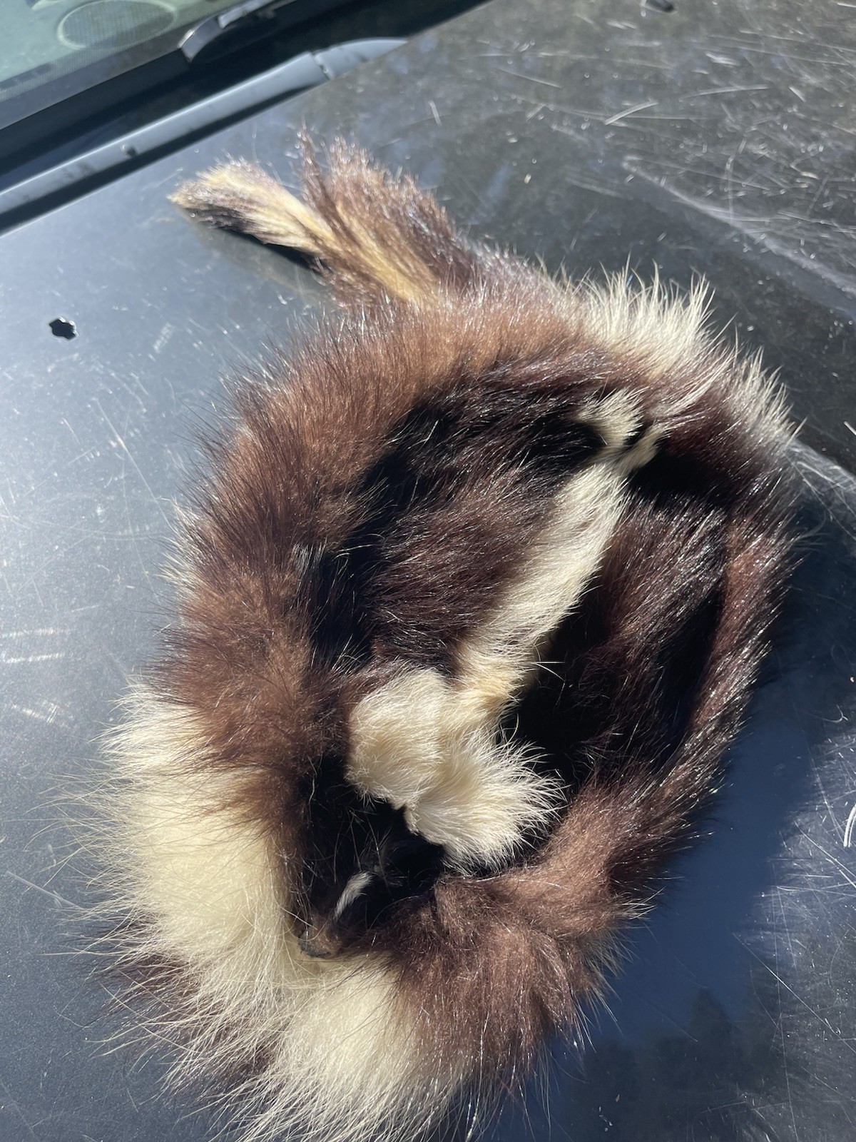 Vintage Skunk Fur Trapper Hat Lined Approx. M-L Size, Taxidermy Vintage Rare