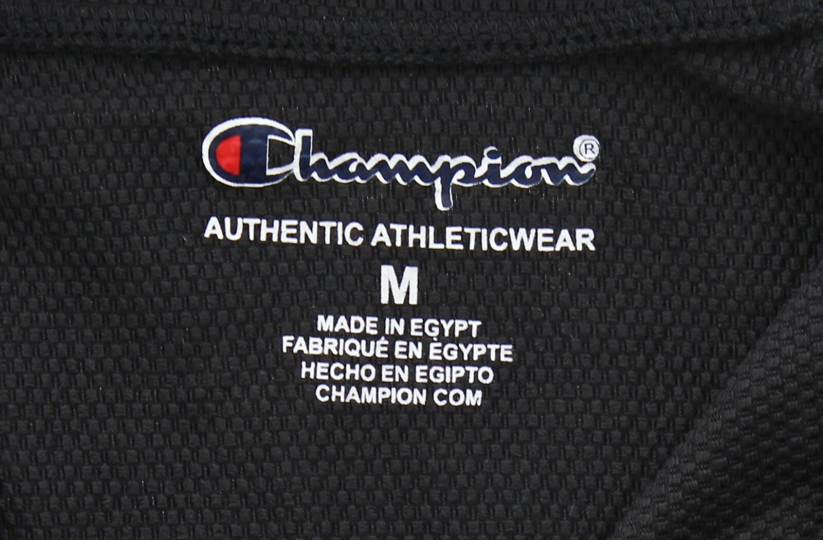 Champion Men’s Lightweight Hoodie Stretch Pullover Logo Shirt Athletic Gym Wear