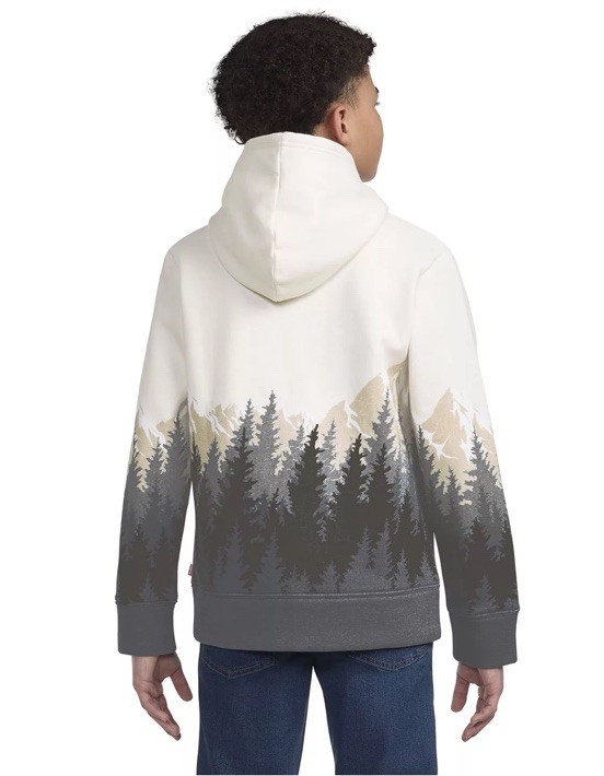 Levi’s Boy’s Hoodie Easy Fit Soft Fleece Size XS (4-5) Dark Shadow Pine Trees