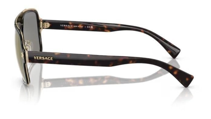 Versace Mens Tortoise/Gold sunglasses 0VE2199 12524T 56mm