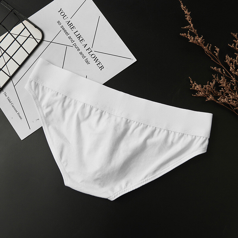 Men’s Simple Low Waist Underwear Sexy Cotton Sports Briefs 8 Colors