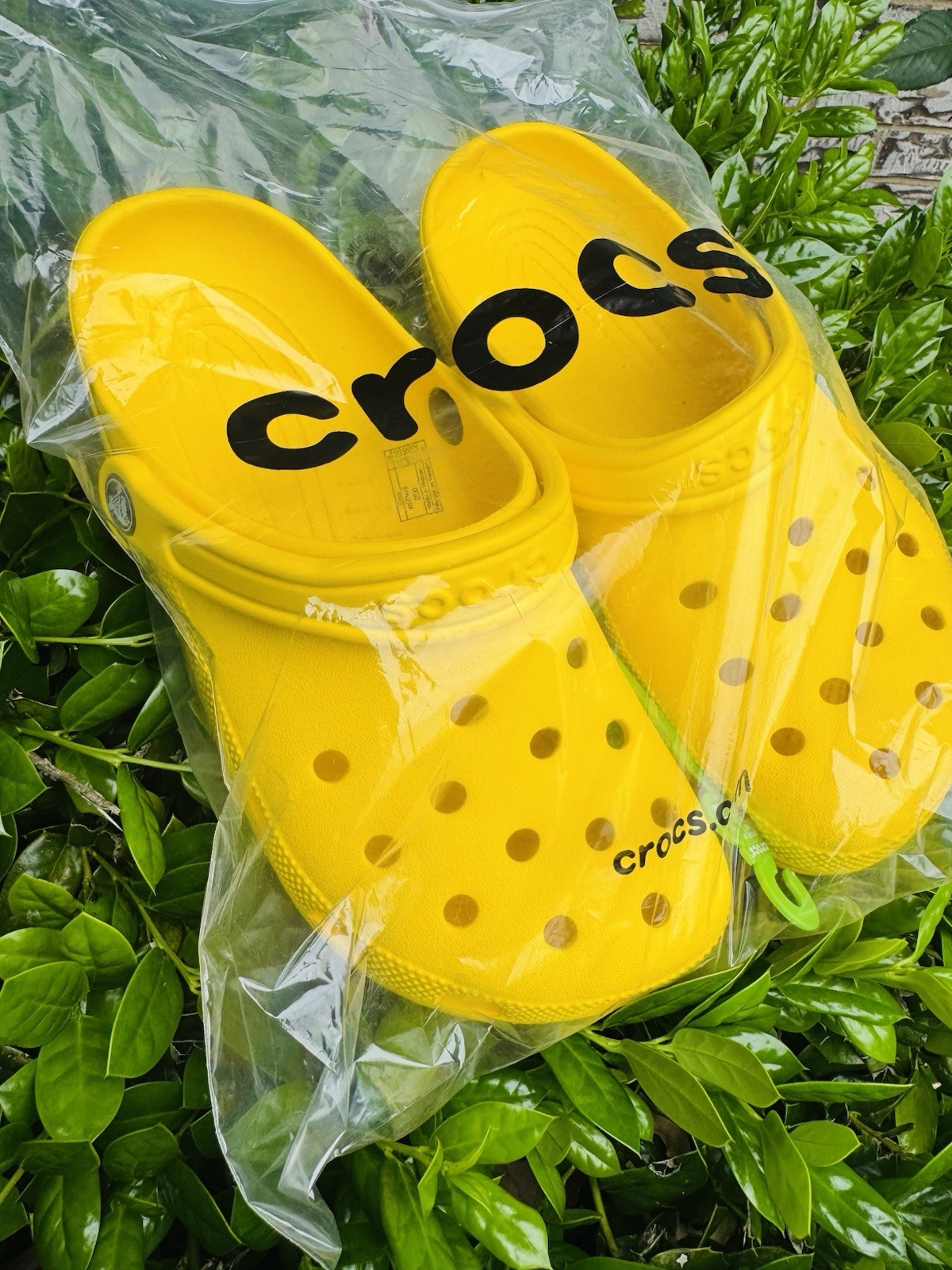 Crocs Yellow 9M men’s – 11W Women’s Classic Clogs Fast Shipping. 🐊