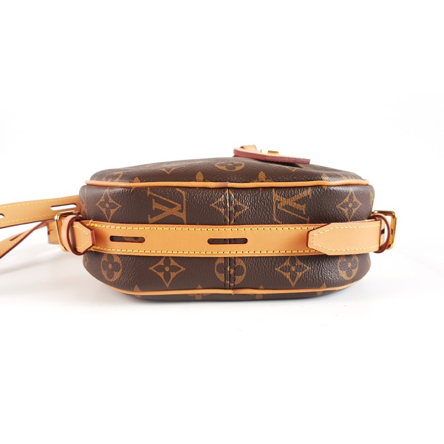 Louis Vuitton Round Boîte Chapeau Souple brown monogram shoulder crossbody bag
