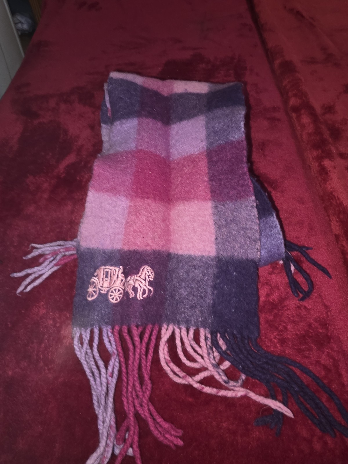 Women’s Coach Acrylic Knit Wool scarf