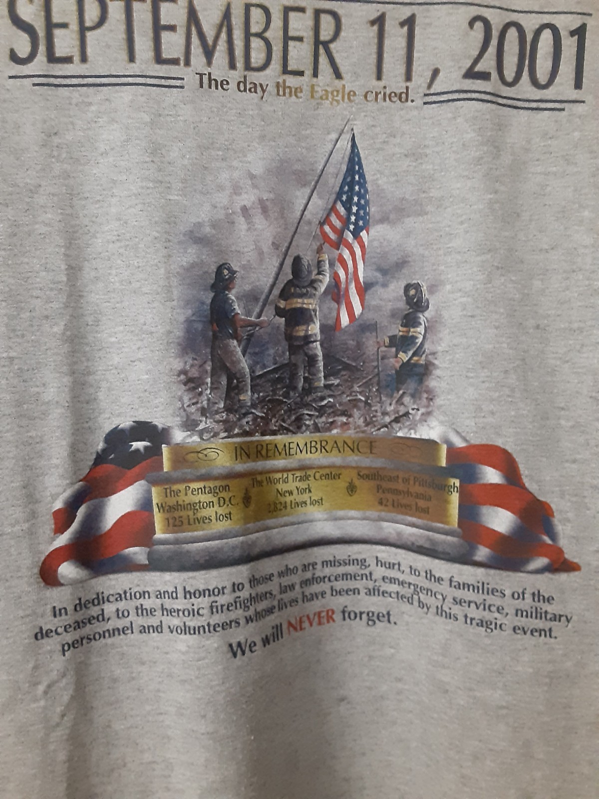 gildan ultra brand xl t-shirt sept 11, 2001 the day the eagle cried memorial…