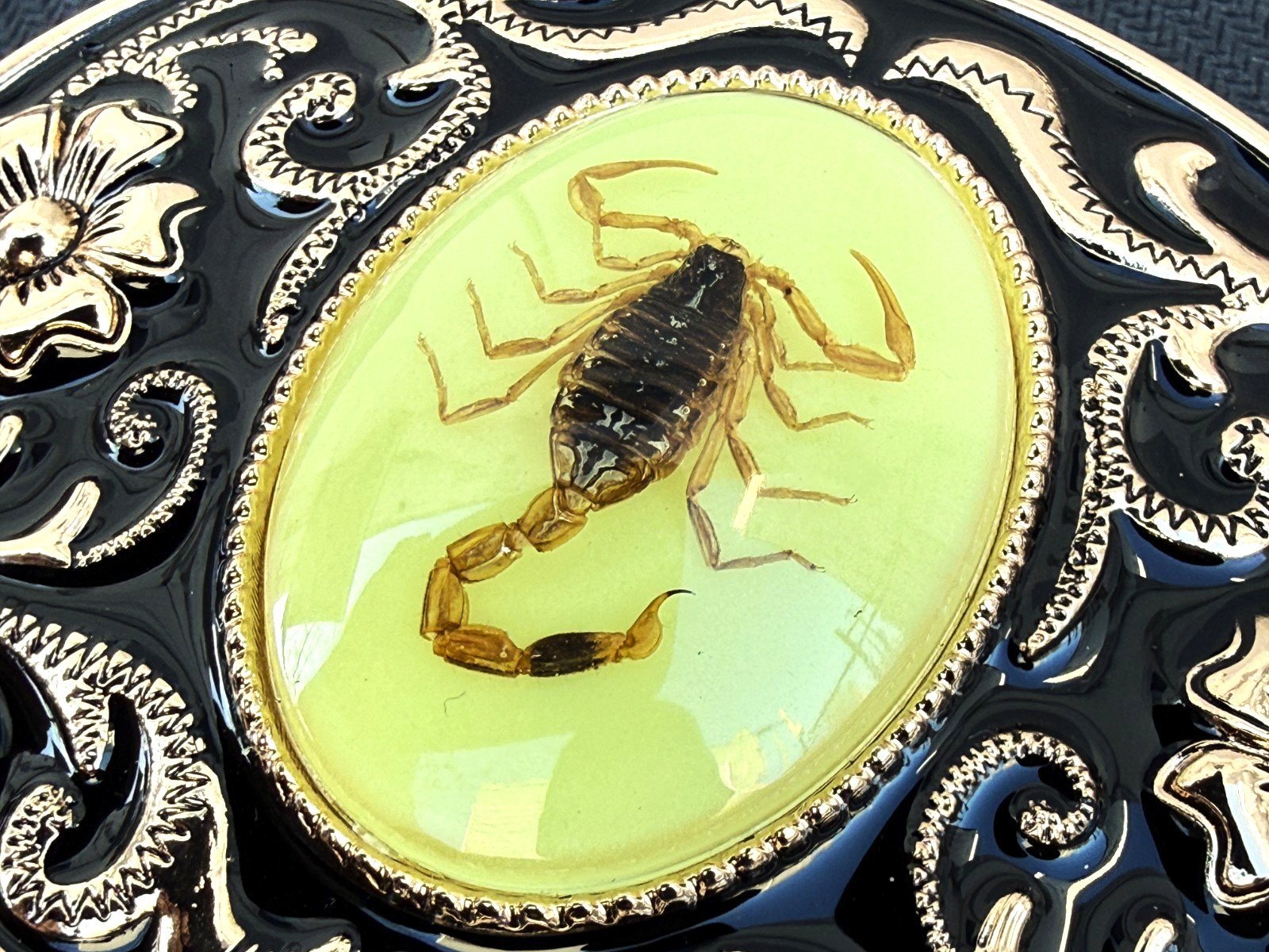 Western Scorpion Belt Buckle Real Scorpion Resin Glow in Dark. For 1.5″ Belt