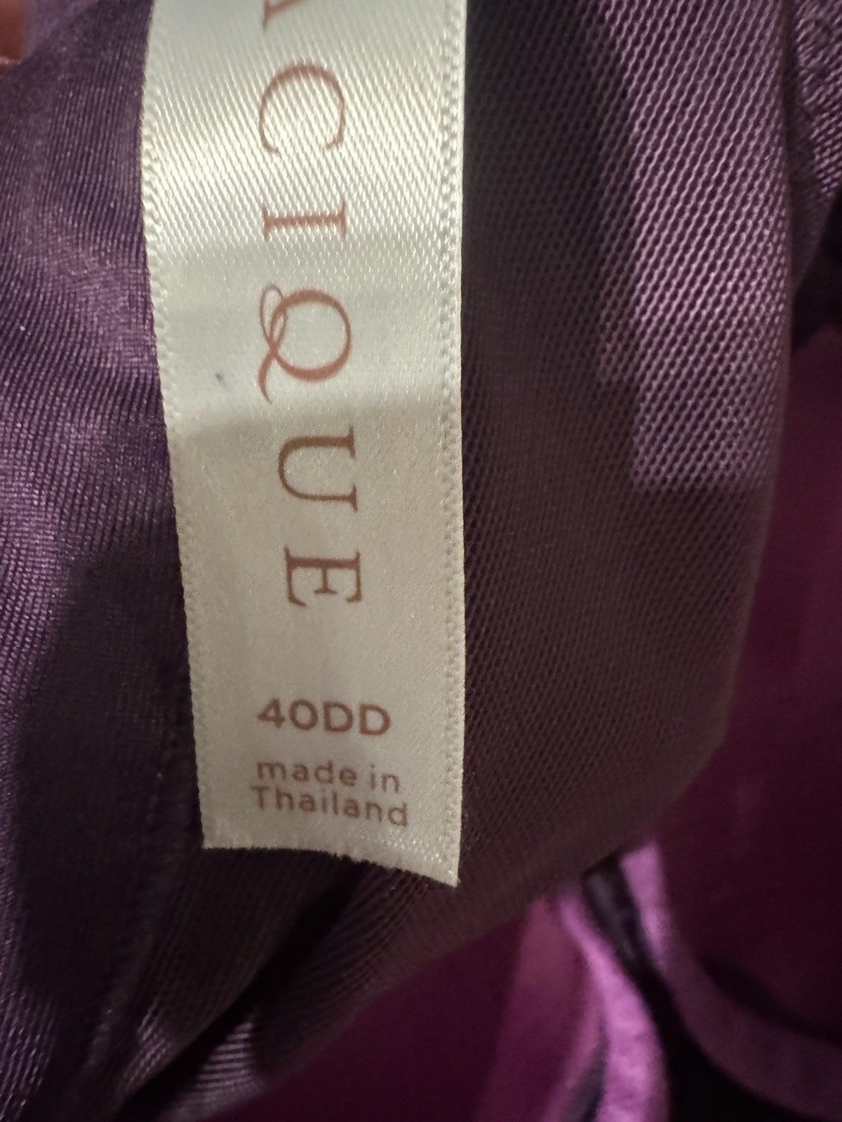 Lane Bryant Cacique Bra & panties set sz 40DD – 14/16