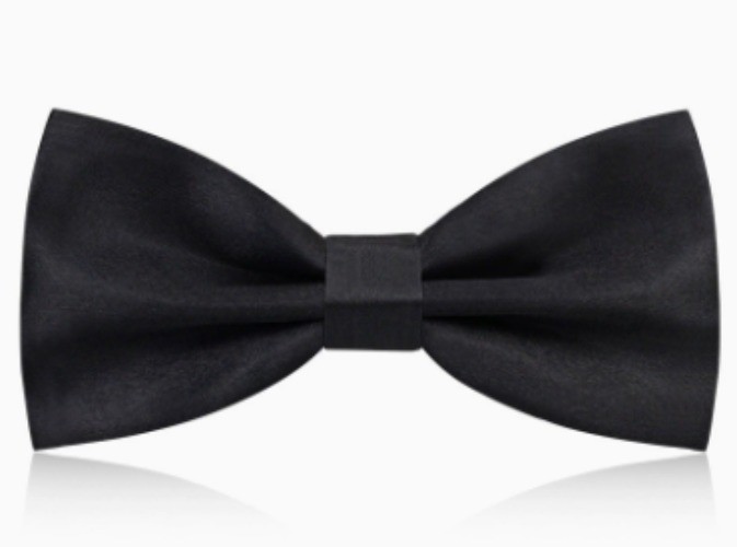 Mens Groom Suit Bowtie PreTied Necktie Four Style Formal Wedding Party Tuxedo