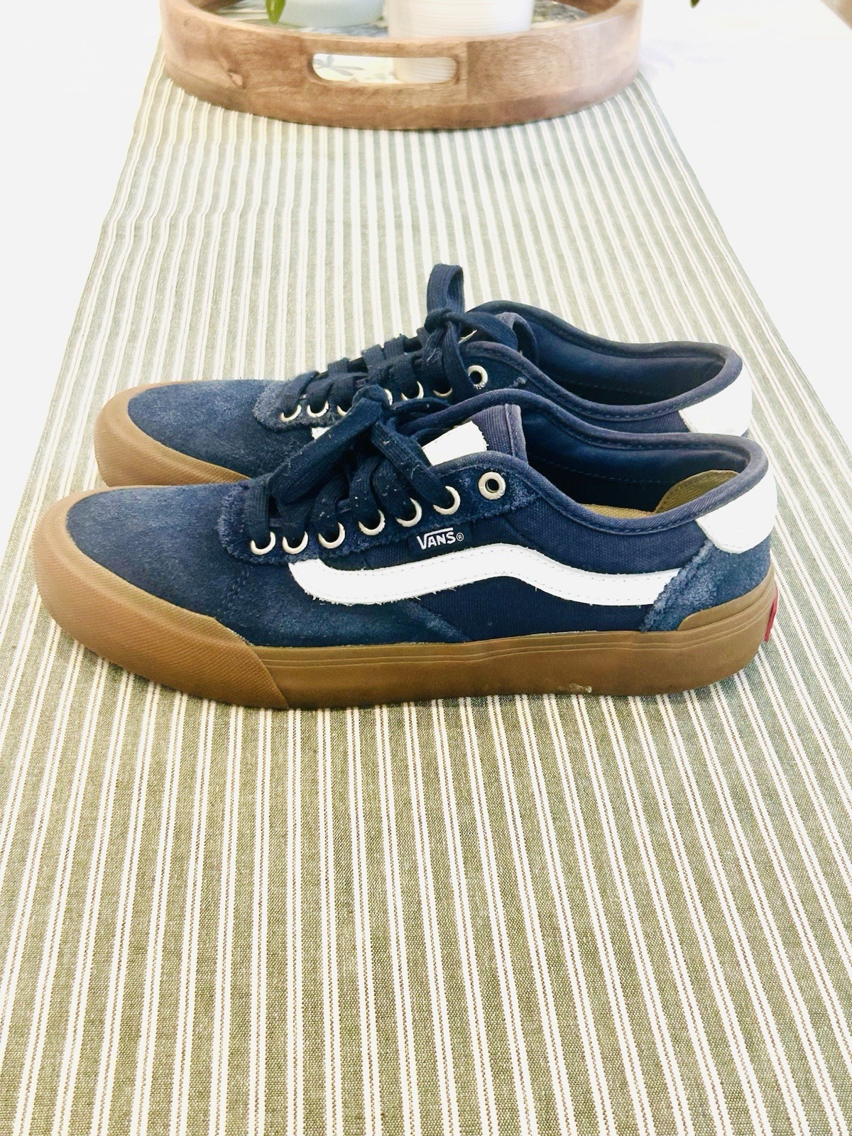 Vans Low Top Blue Skater Shoe