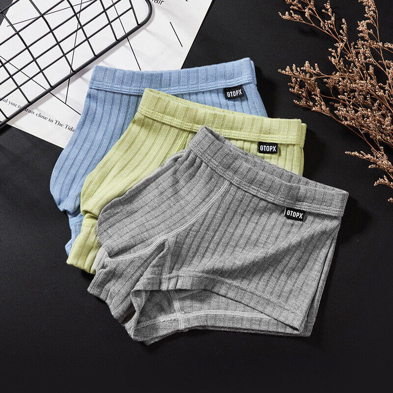 Men’s Sexy Underwear Low waist Briefs U Pouch Boxers Striped Shorts Underpants
