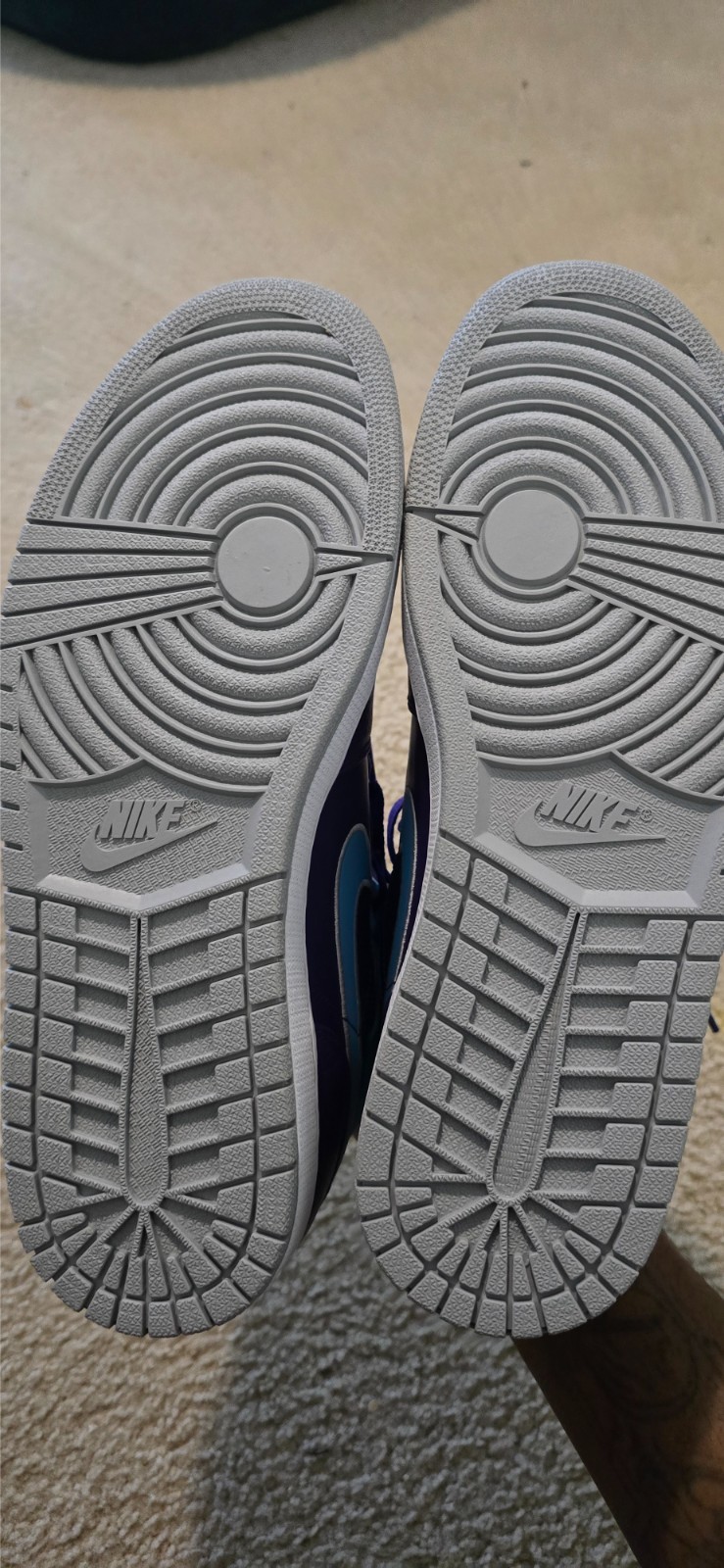 Size 12 – Air Jordan 1 Mid Hornet