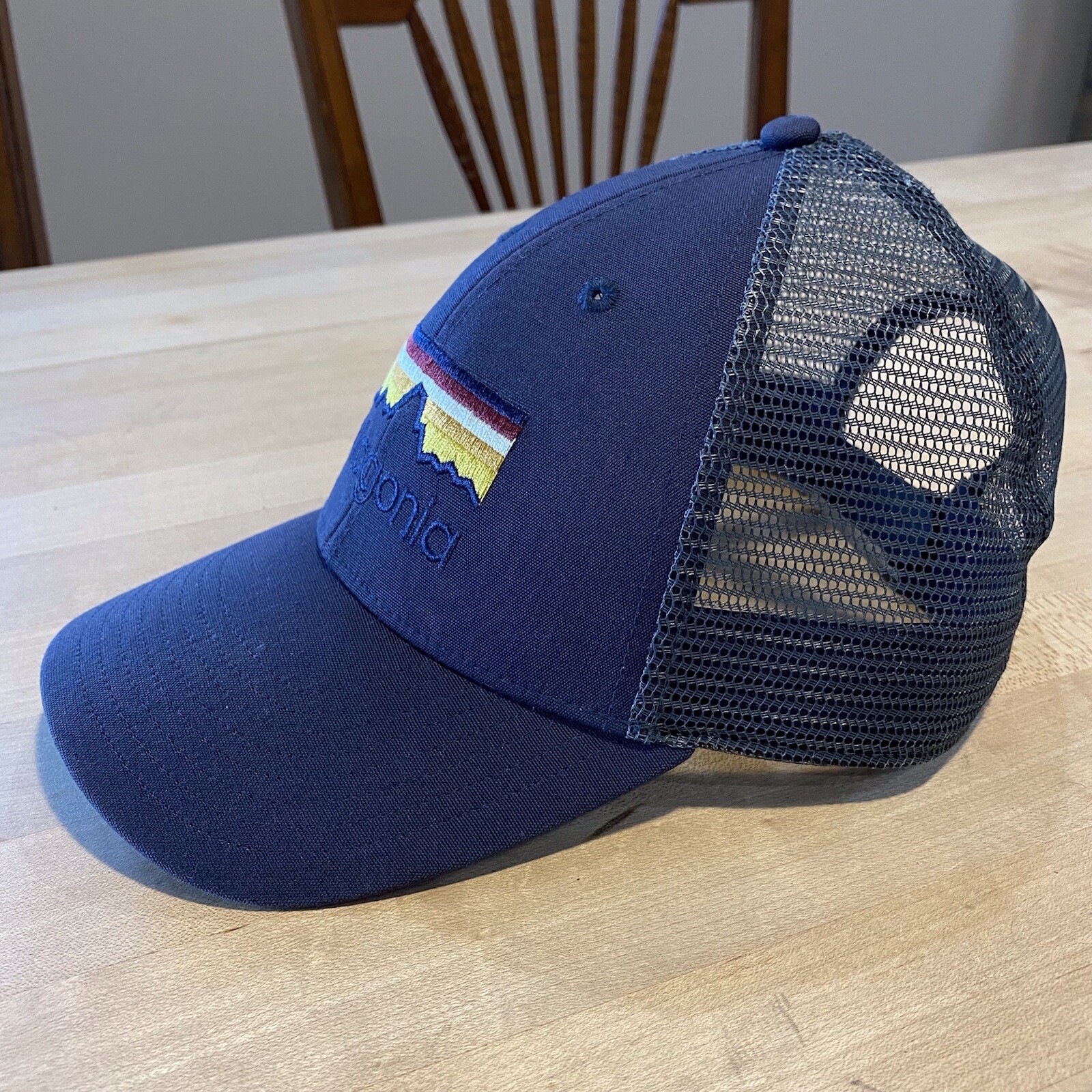 Patagonia Line Logo Lopro Trucker Hat – Mint – Smolder Blue – Fall 2015