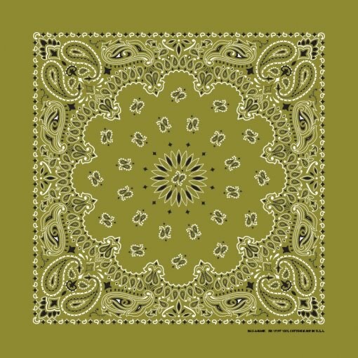 Olive Paisley 22×22 Bandanna