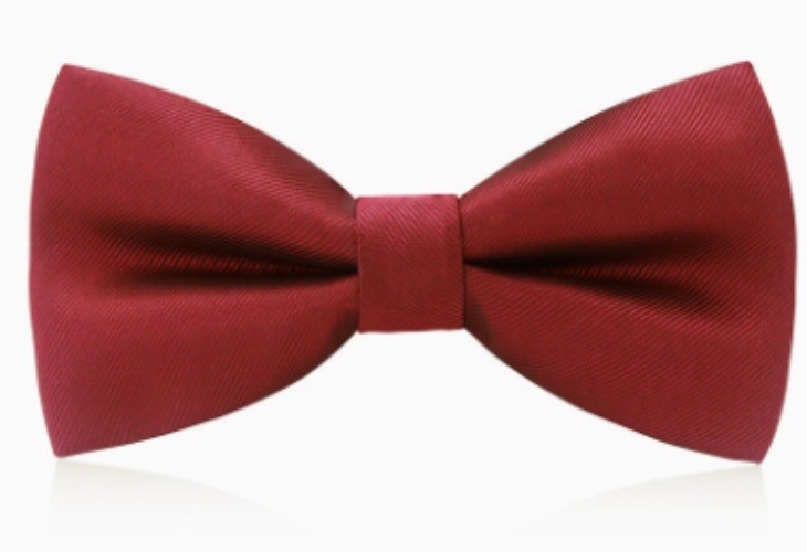 Mens Groom Suit Bowtie PreTied Necktie Four Style Formal Wedding Party Tuxedo