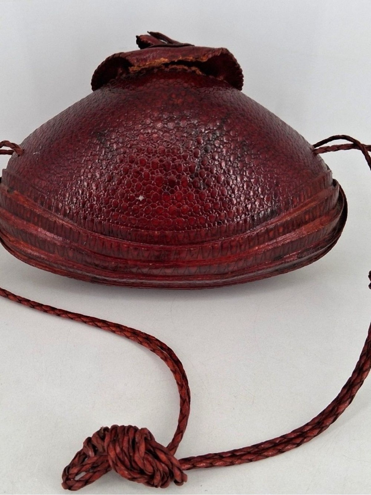 Vintage 1940s Armadillo Taxidermy Purse Leather Braided Strap Red Lining