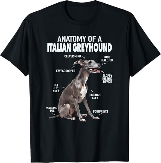 MOST POPULAR! Anatomy Of A Italian Greyhound Best Tee T-Shirt S-3XL