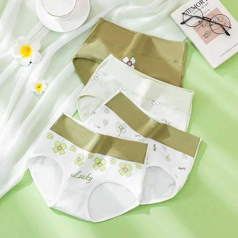Women 5Pcs Fluxe Incontinence Underwear Leak-Proof Panties Cotton Brief Washable