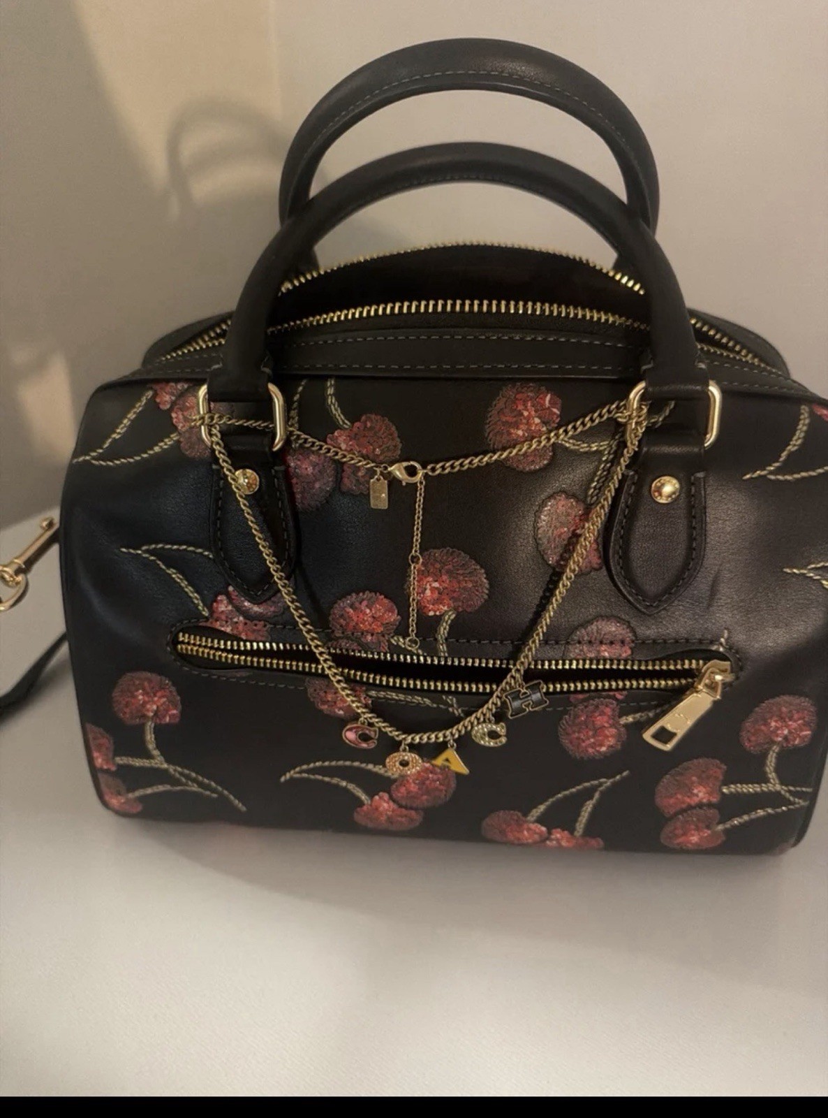 Coach Rowan Satchel Bag With Cherry