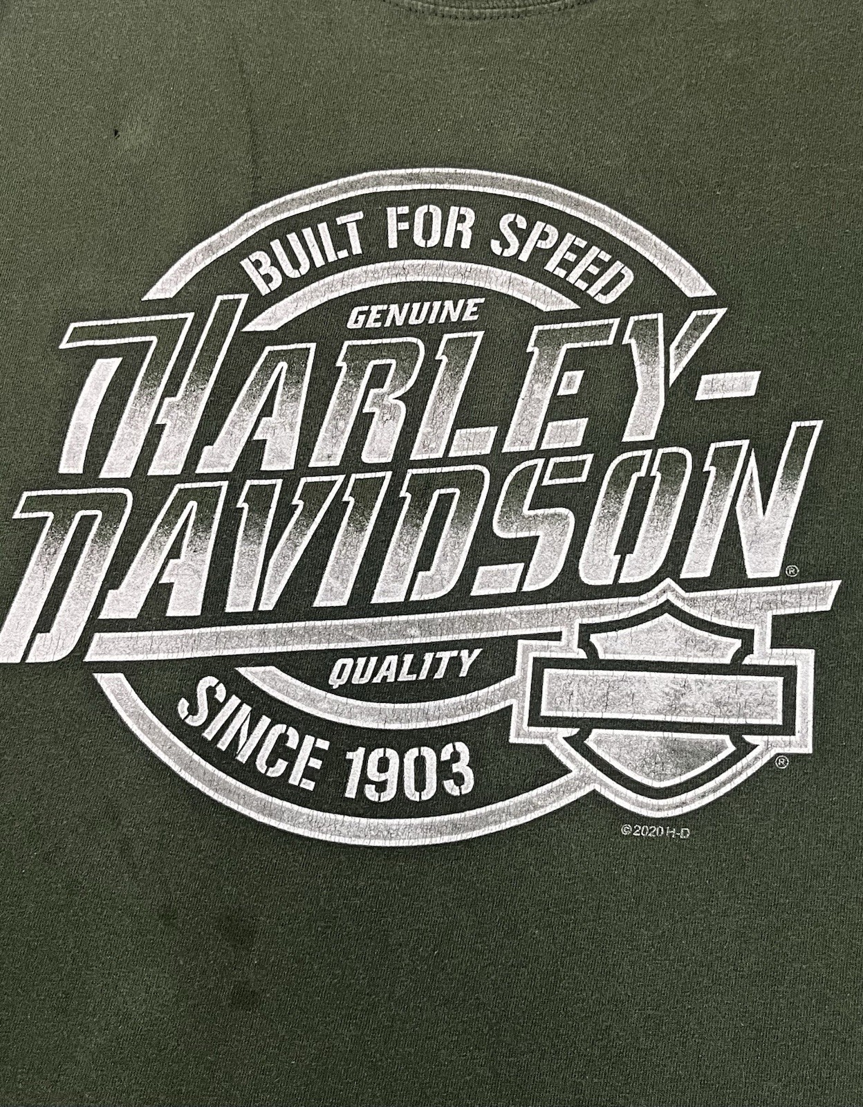 HARLEY-DAVIDSON Blue Ridge Hickory NC Green Long-Sleeve T-Shirt Men’s 2XL HOLES