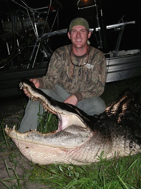 Wild Alligator Ladies Evening Clutch Purse Wallet Bag gator swamp leather JY69
