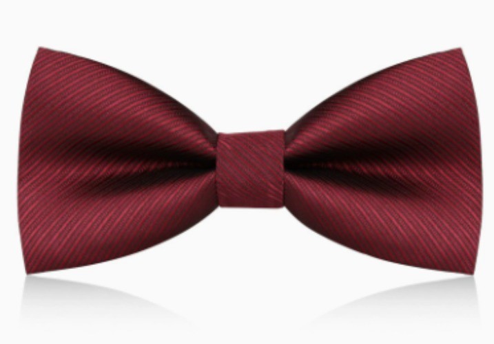 Mens Groom Suit Bowtie PreTied Necktie Four Style Formal Wedding Party Tuxedo