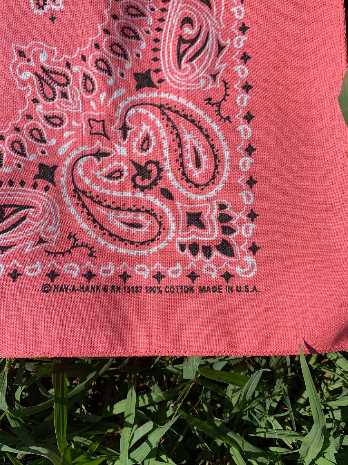 Strawberry Paisley 22×22 Bandanna, Made in USA, Hav-A-Hank