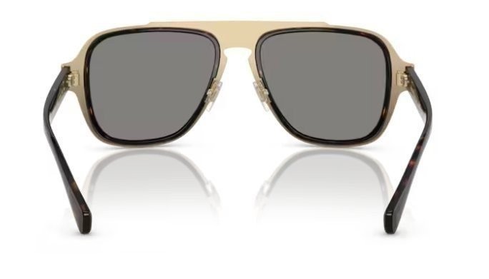 Versace Mens Tortoise/Gold sunglasses 0VE2199 12524T 56mm