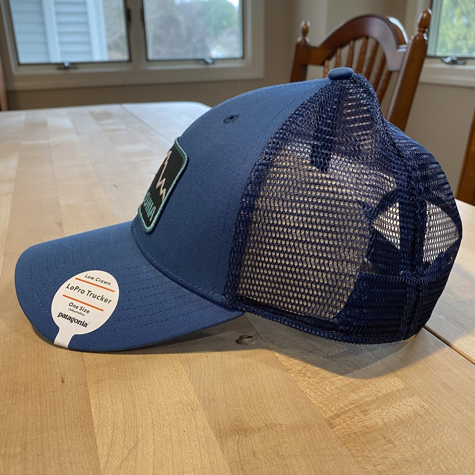 Patagonia Firstlighters Badge Lopro Trucker Hat – New With Tags – Glass Blue
