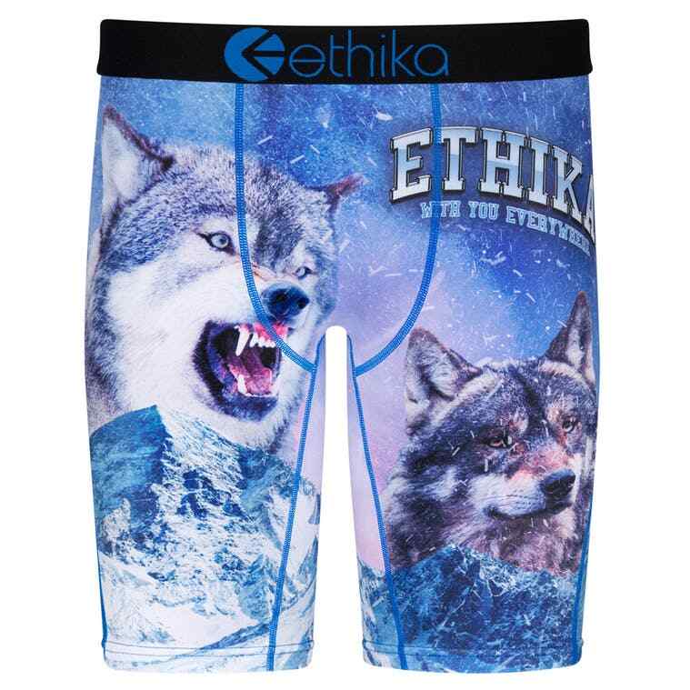 5 Pack Ethika Men’s The Staple Boxer Briefs – Models 2026 (Random Color)