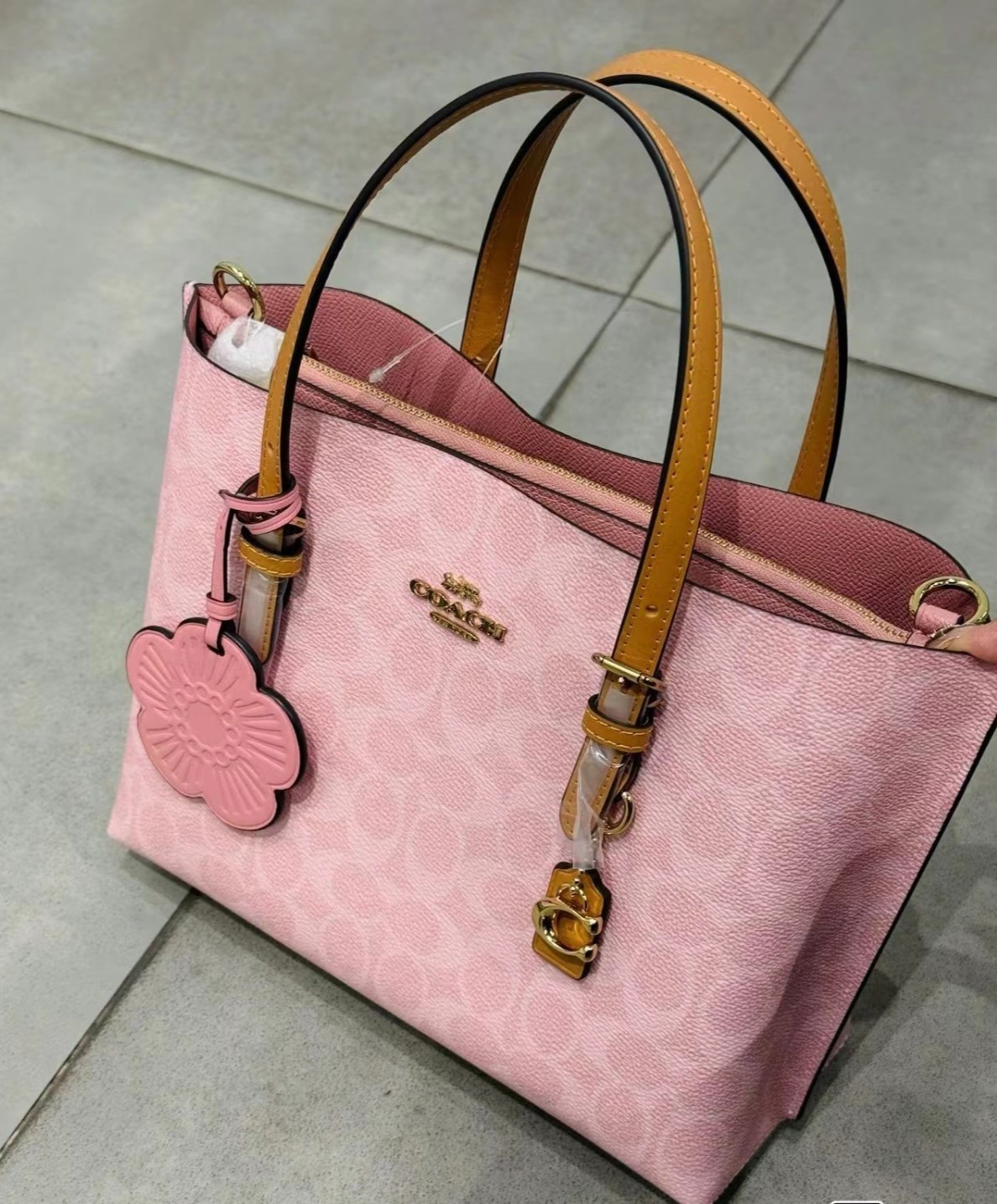 Mollie Tote Bag 25 In Signature Canvas With Charms Gold/Powder Pink CER24