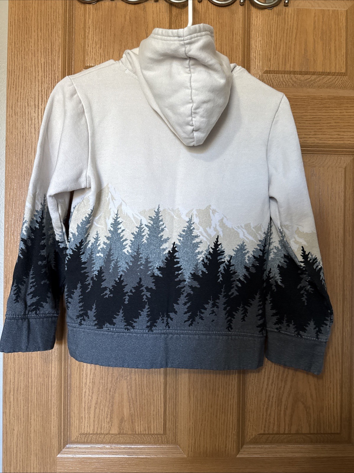 Levi’s Youth L(10-12) Hoodie Pullover Lt Grey,black & grey Tree’s, tan Mountain