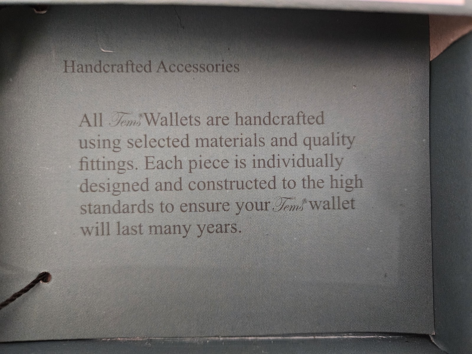 Tems Handcrafted Bifold Novelty Wallet Featuring a print of a $100 Bill